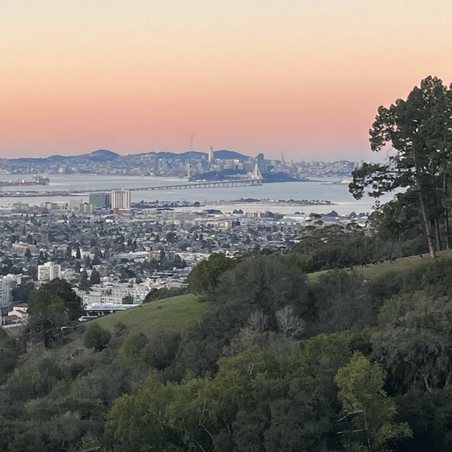 View from MF