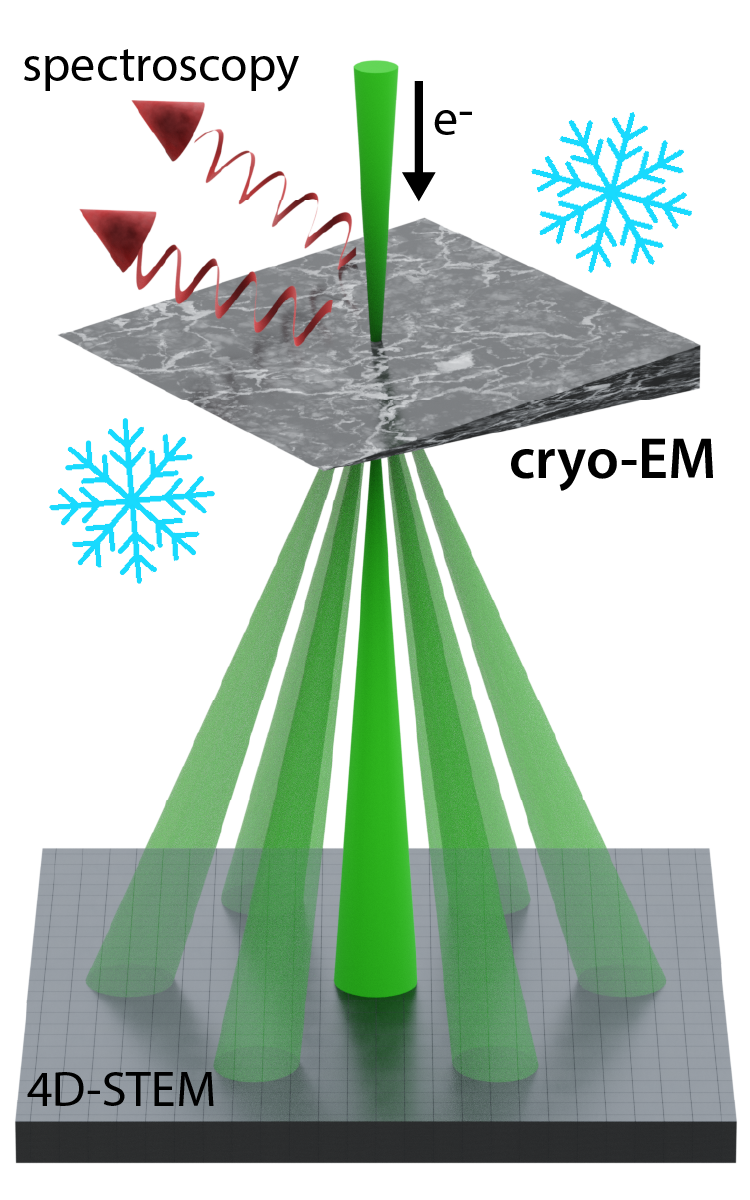 Cryogenic electron microscopy schematic showing an electron beam passing through a frozen sample