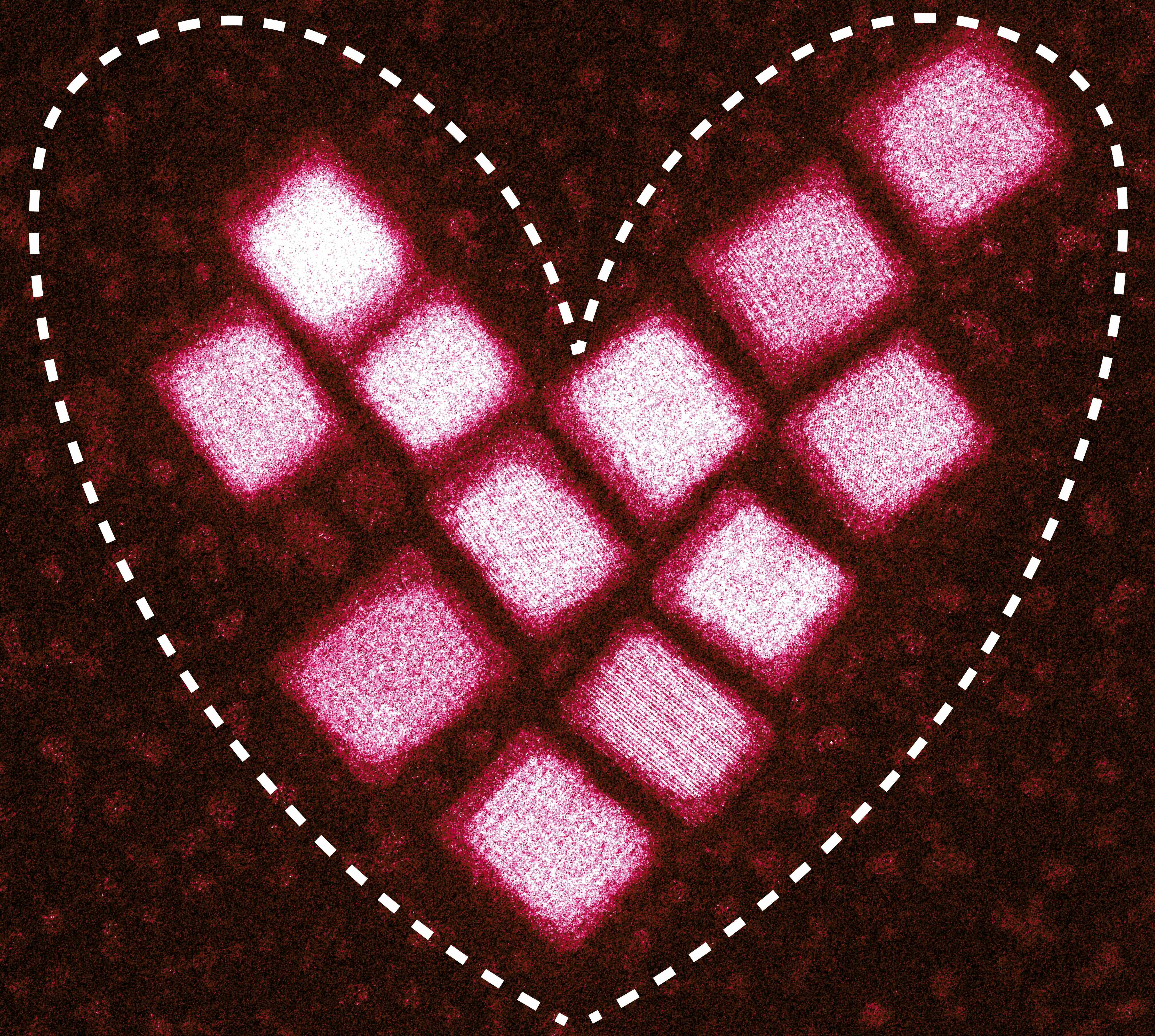 Nanoparticles