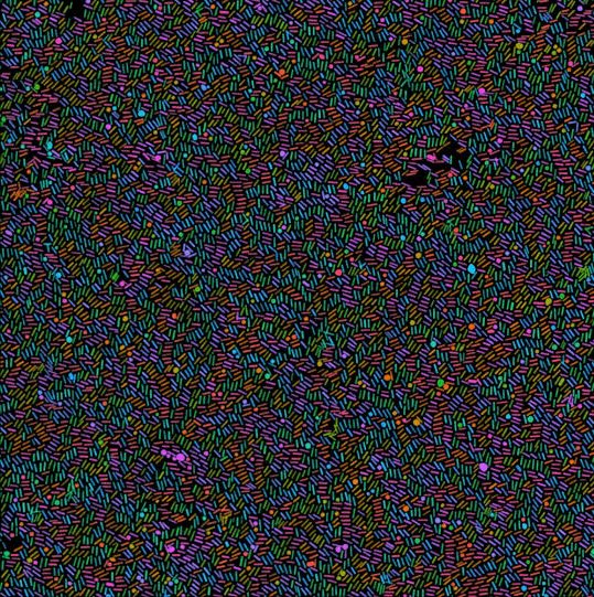 Nanoparticles